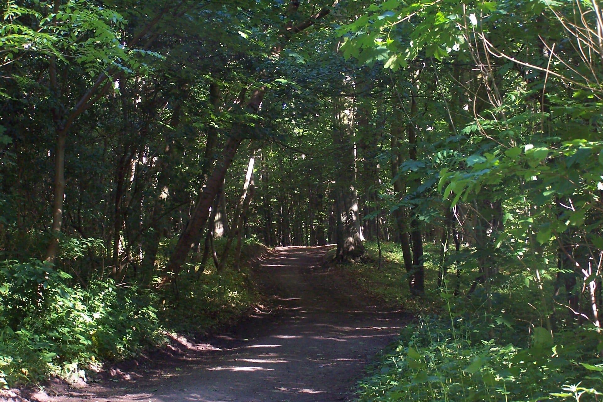 park